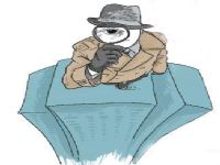 镇原县取证公司解说第三者承担离婚赔偿责任吗